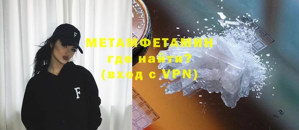 прущие грибы Осинники