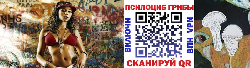 наркотики  Сковородино  Галлюциногенные грибы Psilocybine cubensis 